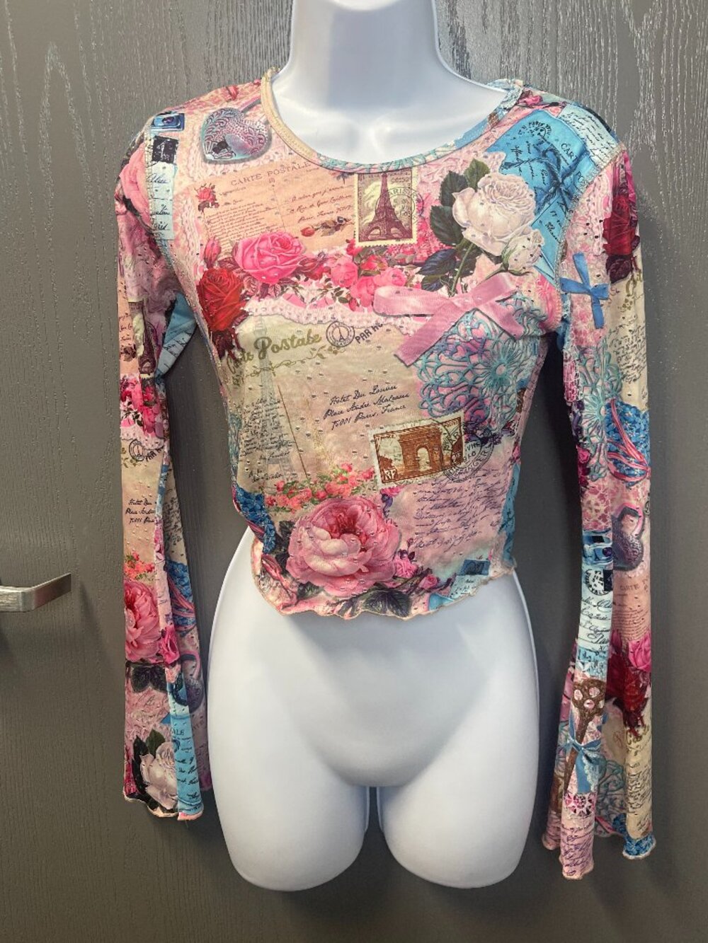dELiA*s by Dolls Kill Paris Rose Mesh Crop Top Size Small